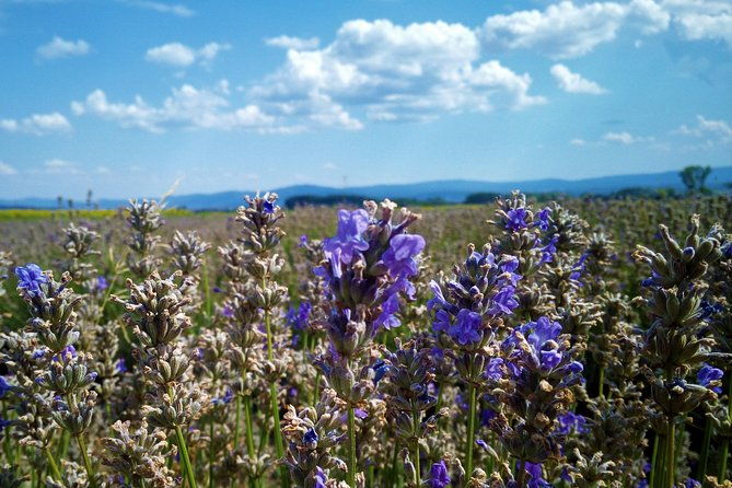 weekend-in-bulgaria