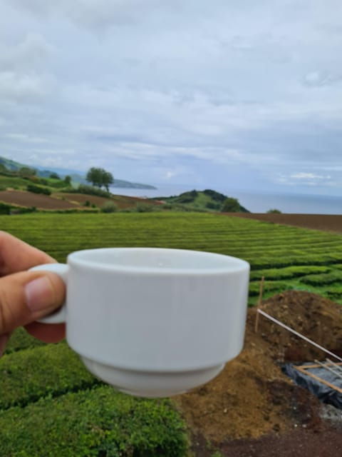west-east-sao-miguel-island-private-tour