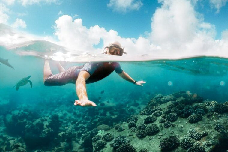 west-oahu-turtles-dolphins-and-snorkeling-tour-with-lunch