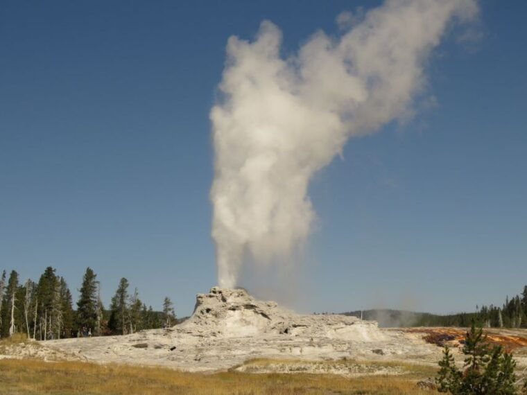 west-yellowstone-yellowstone-day-tour-including-entry-fee