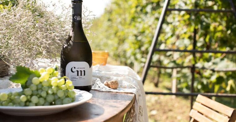 wine-tasting-the-flavors-of-the-prosecco-hills