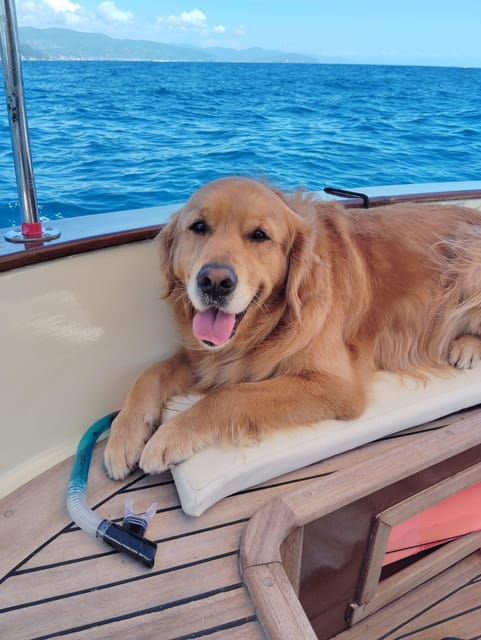 yoga-and-meditation-by-boat-in-portofino