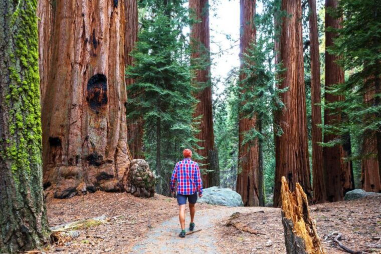 yosemite-valley-3-day-camping-adventure
