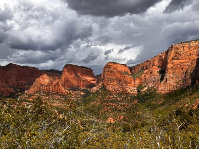 zion-national-park-5-hour-tour-hike-and-drive