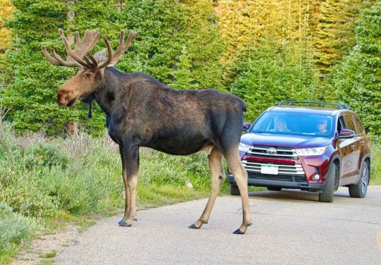 3-4-day-rmnp-mtn-to-skybear-lake-rd-tour-rmnphotographer