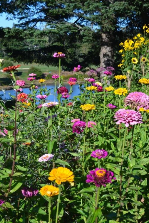 4-hour-private-tour-acadia-fjord-gardens-mansions