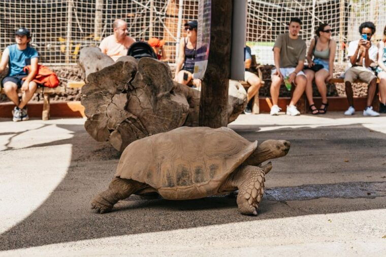 aguimes-crocodile-park-zoo-entry-ticket