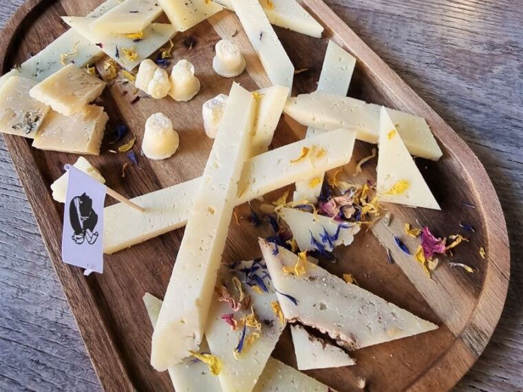 ajaccio-local-food-tour-with-tastings