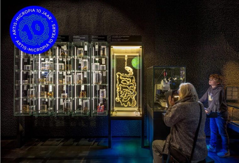 amsterdam-artis-royal-zoo-artis-micropia-combo-ticket