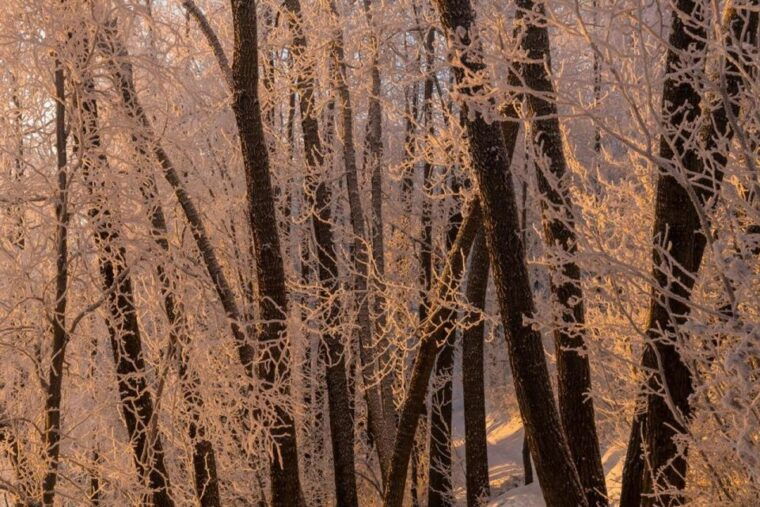 anchorage-winter-wonderland-photo-tour