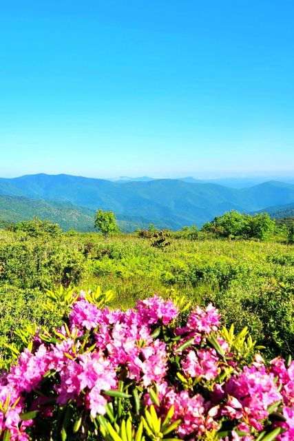 asheville-blue-ridge-mountains-tour-for-children