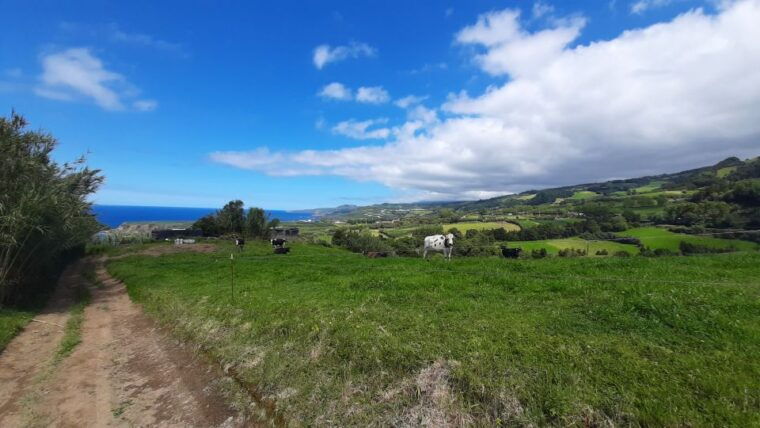 azores-sao-miguel-hike-and-snorkeling-with-a-local