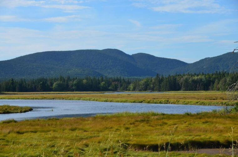 bar-harbor-acadia-national-park-private-tour-with-lunch