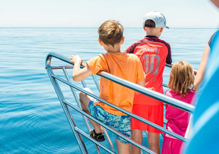 benalmadena-dolphin-watching-boat-tour