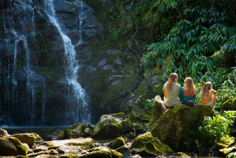 big-island-full-day-kohala-zipline-and-waterfall-adventure