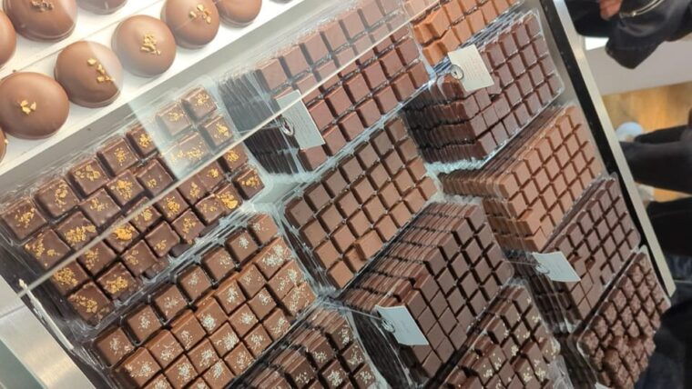 bordeaux-afternoon-food-tour-with-local-delicacies