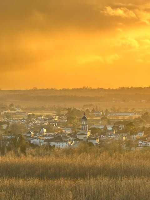 bordeaux-backcountry-e-bike-tour-with-lunch-wine-tasting