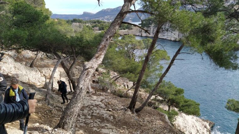 cassis-calanques-national-park-guided-hiking-half-day-trip