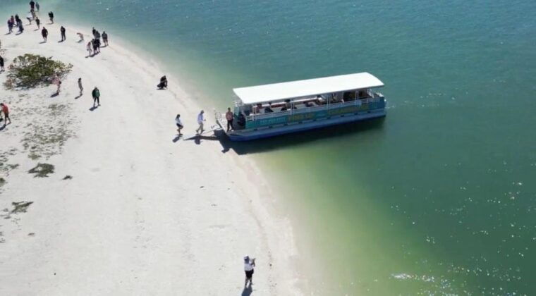 clearwater-beach-dolphin-island-sandbar-cruise