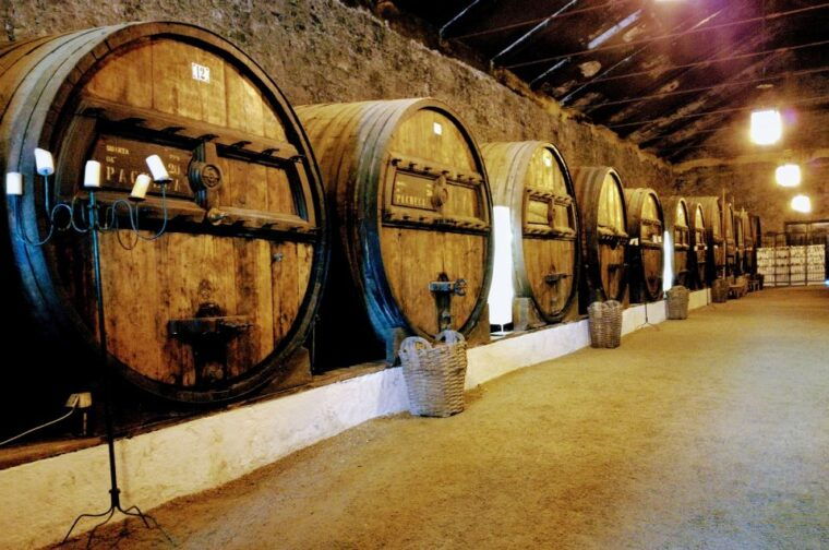 complete-douro-valley-tour-visit-to-3-wineries-lunch
