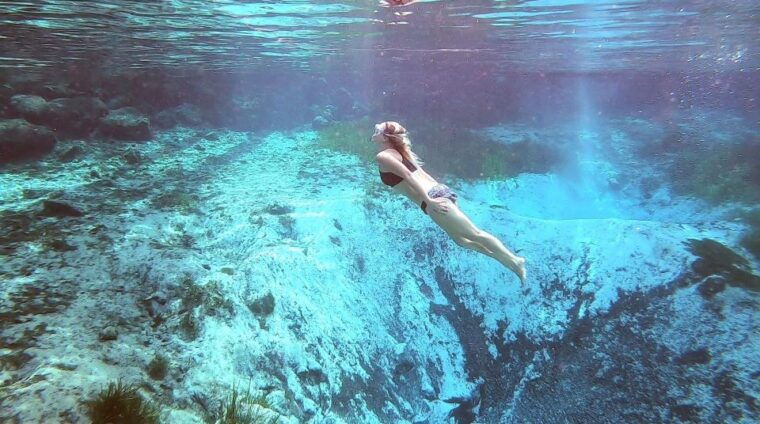 crystal-river-three-sisters-springs-guided-kayak-tour