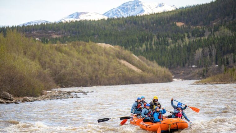 denali-alaska-canyon-wave-raft-class-iii-iv-paddle-oar