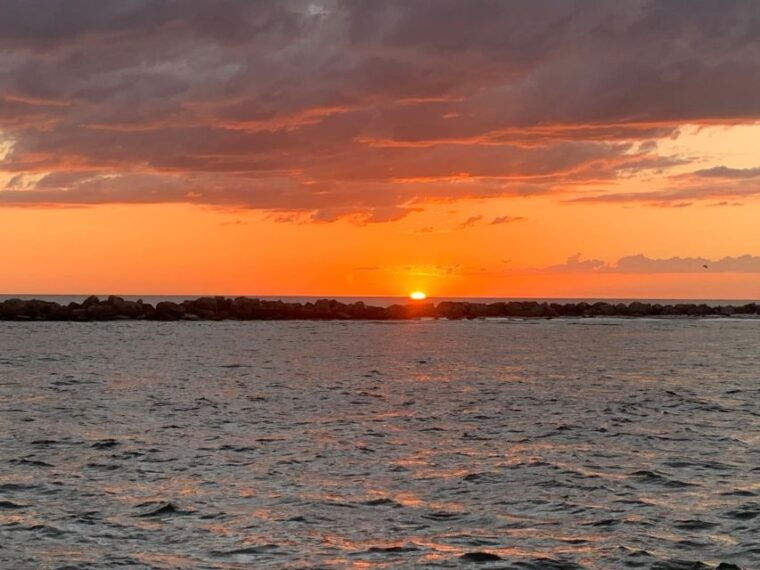 destin-dolphin-watching-cruise