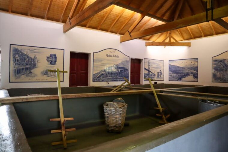 douro-valley-douro-valley-tour-including-3-wineries