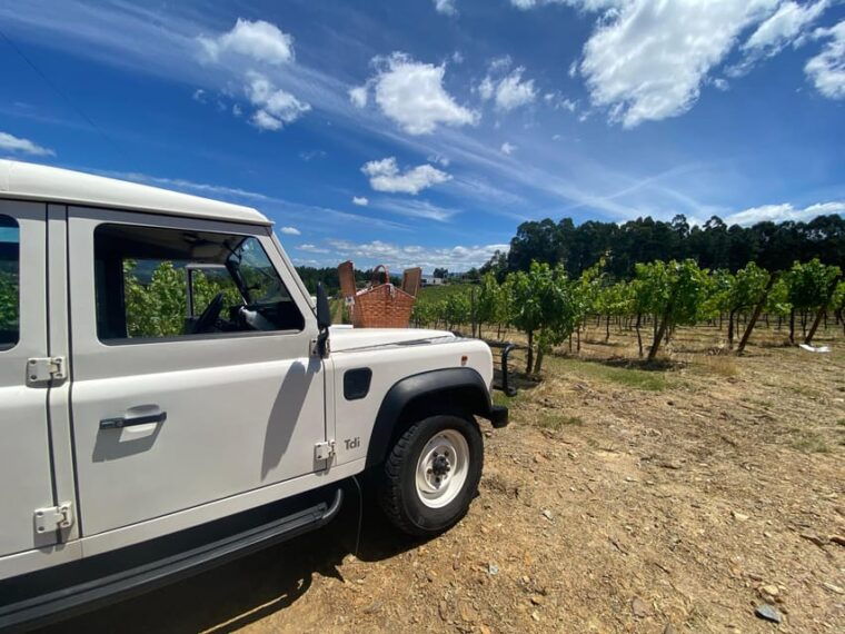 douro-valley-wine-safari-with-wine-tastings-and-lunch