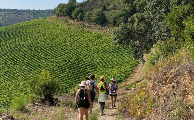 douro-walking-with-full-fancy-lunch-and-premium-wines