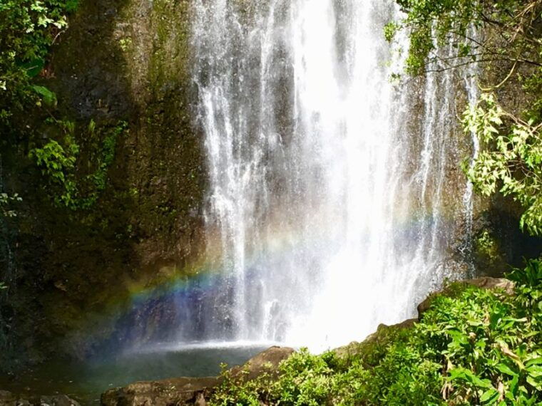 east-maui-private-rainforest-or-road-to-hana-loop-tour