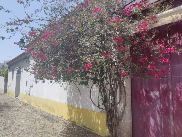 evora-private-walking-tour-3