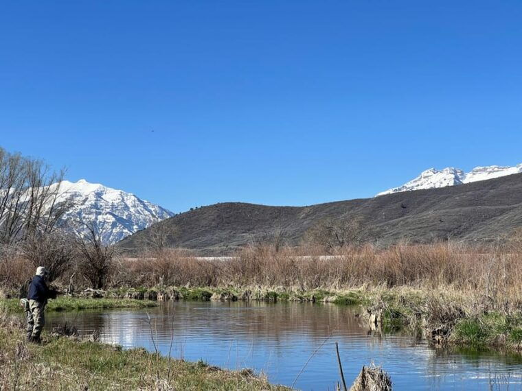 fly-fish-utah-blue-ribbon-trout-waters