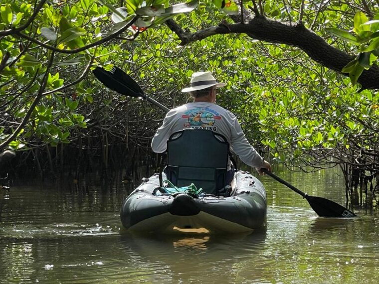 fort-pierce-6-hr-mangroves-coastal-rivers-wildlife-in-fl