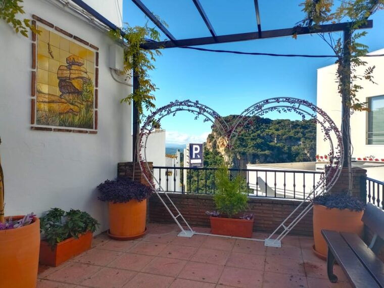 from-costa-del-sol-casares-private-tour