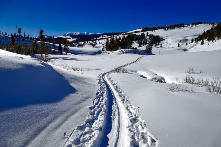from-gardiner-yellowstone-national-park-snowshoe-tour