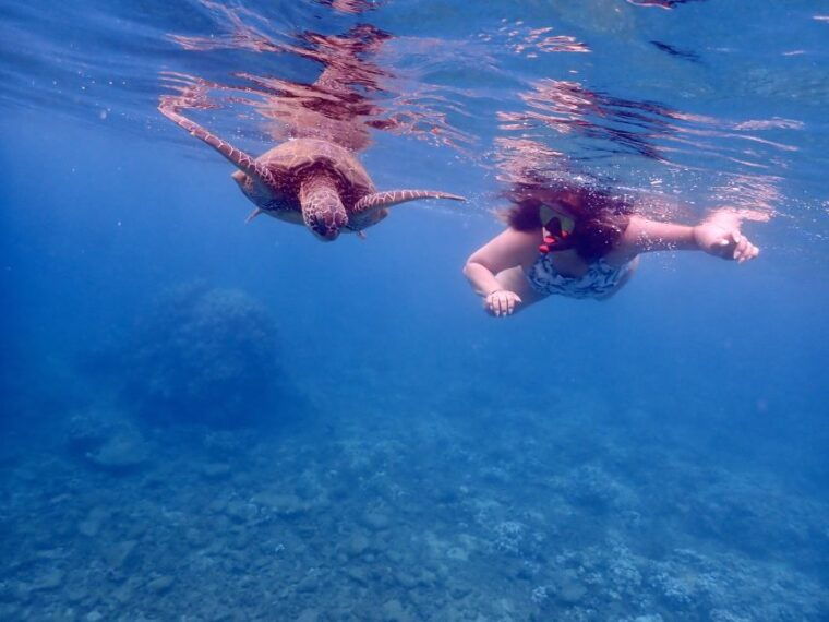 from-kihei-molokini-crater-and-turtle-town-snorkeling
