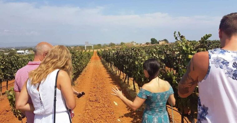 from-lagos-private-algarve-wineries-tour-with-tastings