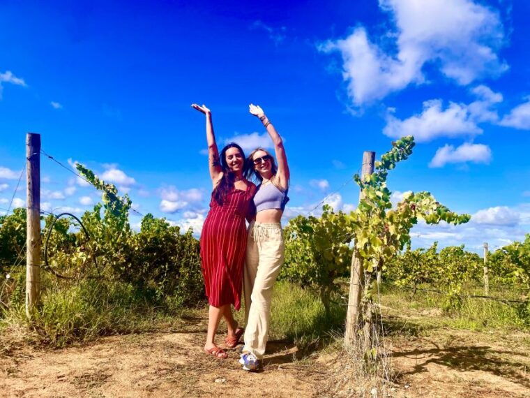 from-lisbon-setubal-arrabida-wine-tour-with-lunch