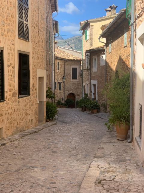 from-palma-soller-valley-walk-and-picnic-in-orange-farm