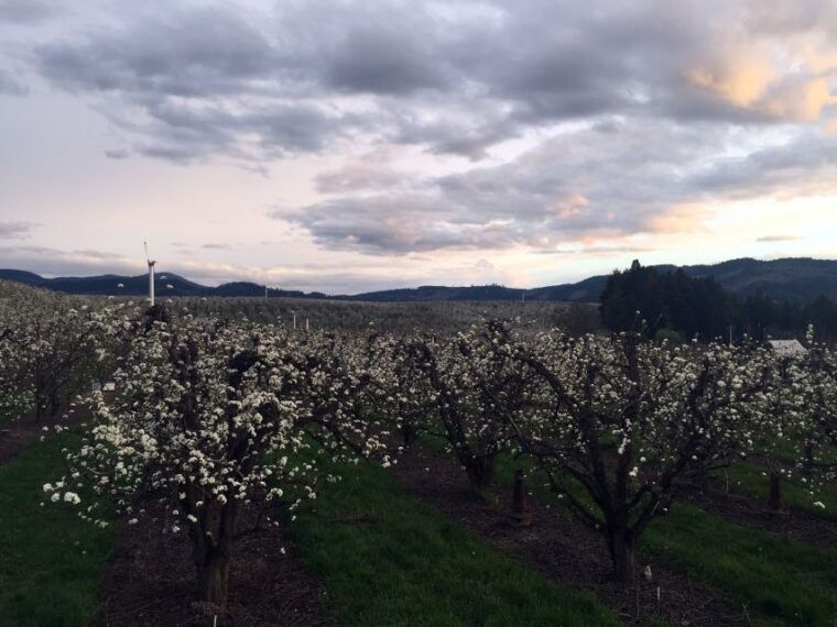 from-portland-mt-hood-hood-river-valley-and-columbia-gorge