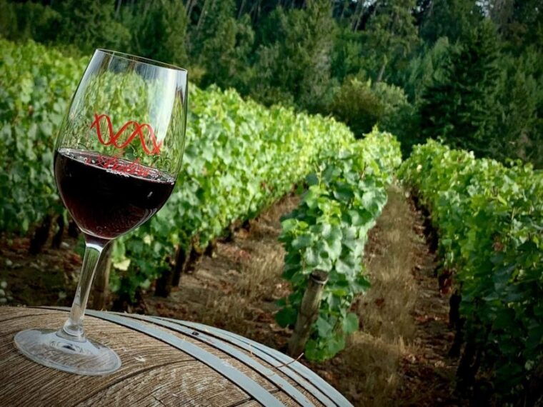 from-portland-waterfalls-mt-hood-and-wine-day-tour