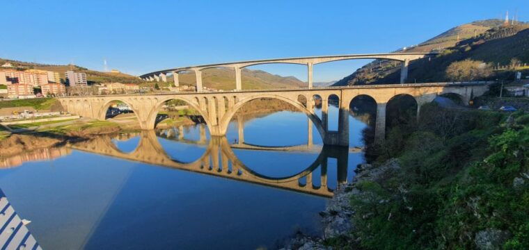 from-porto-day-douro-valley-wine-tour-2-wineries-lunch