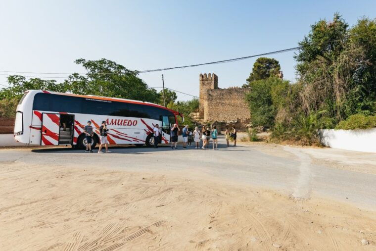 from-seville-pueblos-blancos-and-ronda-full-day-trip