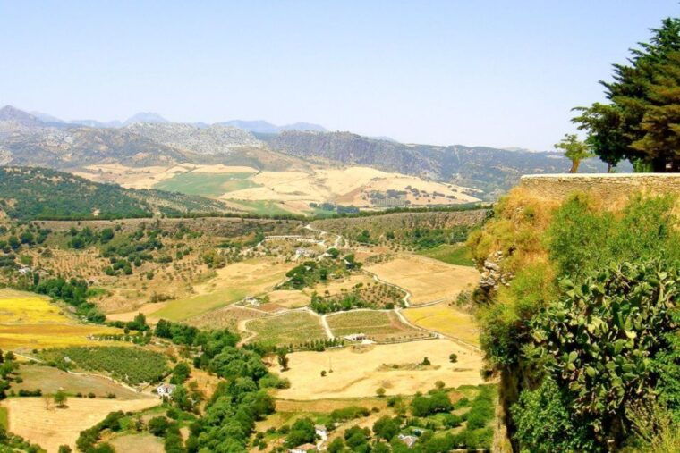 from-seville-white-villages-and-ronda-tour