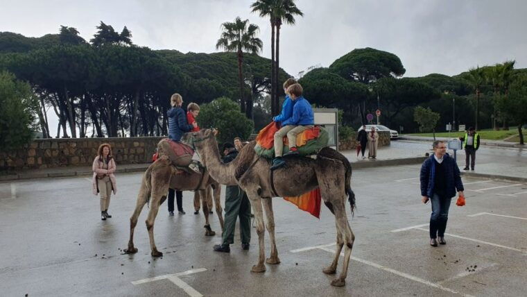 from-tarifa-tangier-day-tour-with-bazaar-shopping-and-lunch