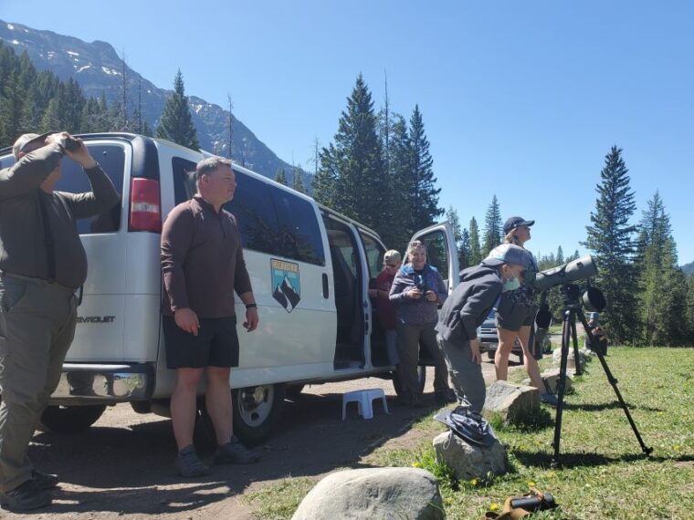 from-west-yellowstone-lamar-valley-wildlife-tour-by-van