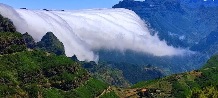 funchal-private-4-seater-vip-mercedes-8-seater-minibus