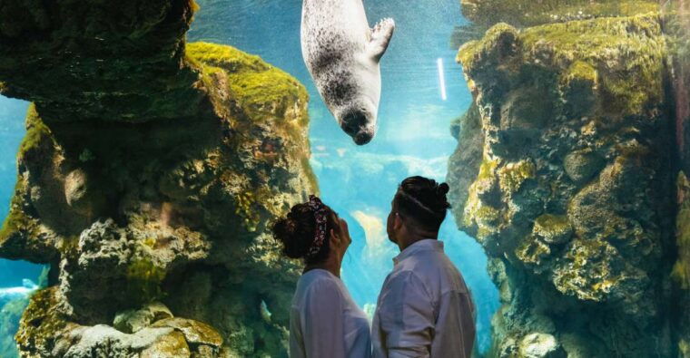 genoa-aquarium-of-genoa-entry-ticket
