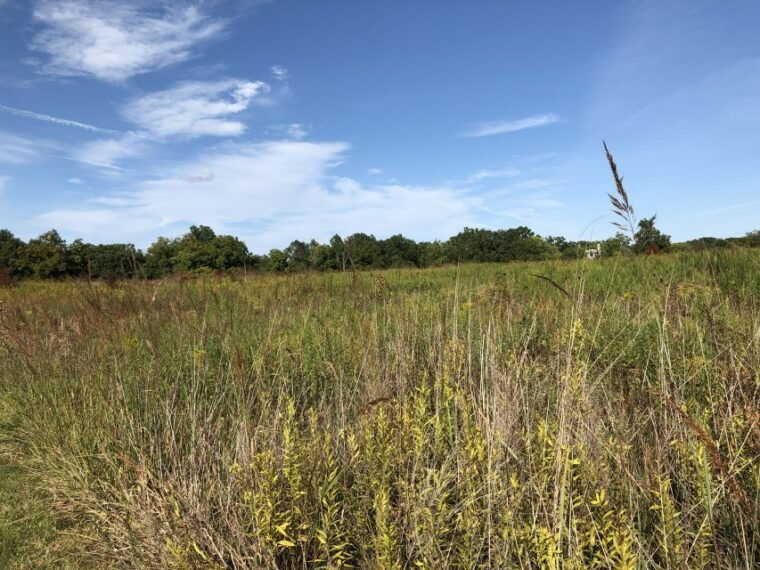 gettysburg-beer-wine-and-history-guided-walking-tour